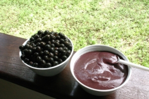 f2e2c5b595ea8b42051fc84e93379911_s