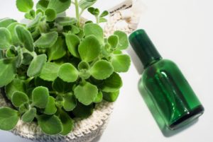 アロマ　ティーツリー スプレー