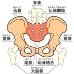 Thumbnail of post image 073