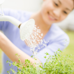 Thumbnail of post image 069