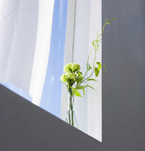 ピジョンの産後ガードルと普通のガードルとの違い