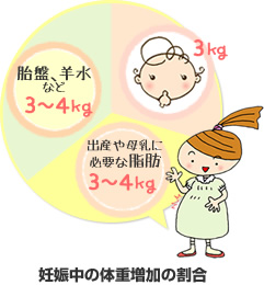 妊娠中の体重増加の内訳図:赤ちゃんが3kg、胎盤、羊水などが3~4kg、出産や母乳の分泌に必要な脂肪の貯えが3~4kg