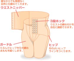 トピナガードルの構造