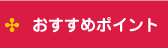 �������߃|�C���g