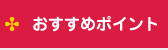 �������߃|�C���g
