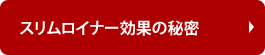 �X�������C�i�[���ʂ̔閧